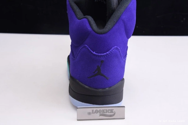 5 Jordan Retro Alternate 136027-500 Grape Air 0728